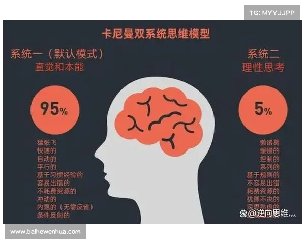 面对四份合同如何选择最适合你的那一份分析与决策技巧