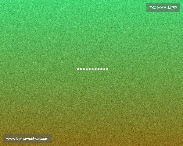 英超青年联赛：未来之星的竞技舞台与成长历程