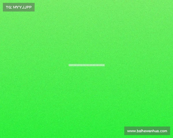 面对四份合同如何选择最适合你的那一份分析与决策技巧