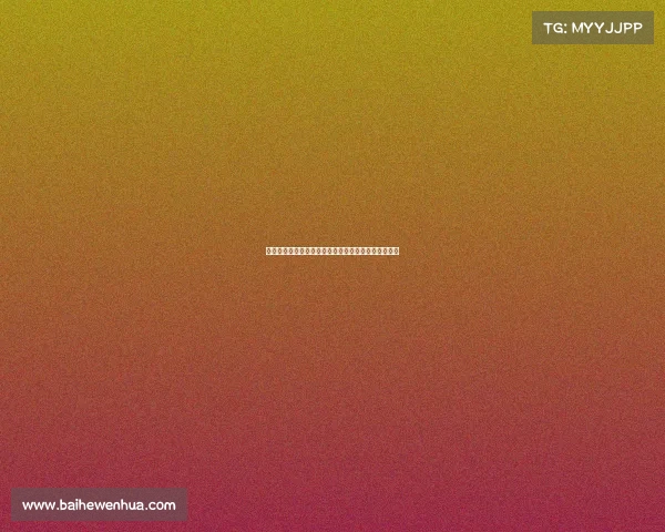 高效整理装备的技巧与方法，提升你的生活与工作效率